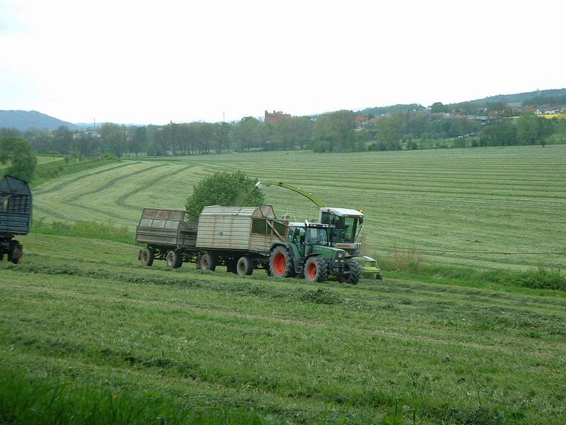 jaguar_900 _+_fendt_514.jpg